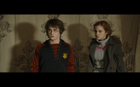Harry Potter and the Goblet of Fire - 758