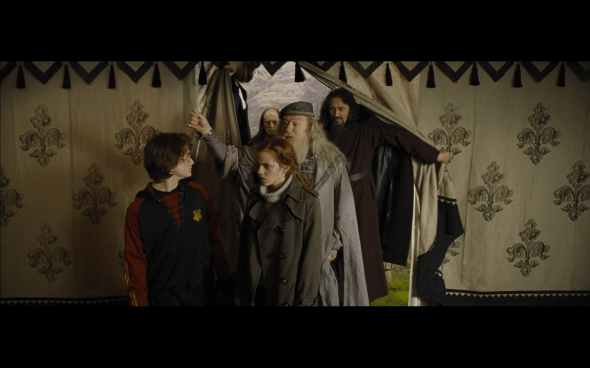 Harry Potter and the Goblet of Fire - 763