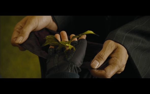 Harry Potter and the Goblet of Fire - 768