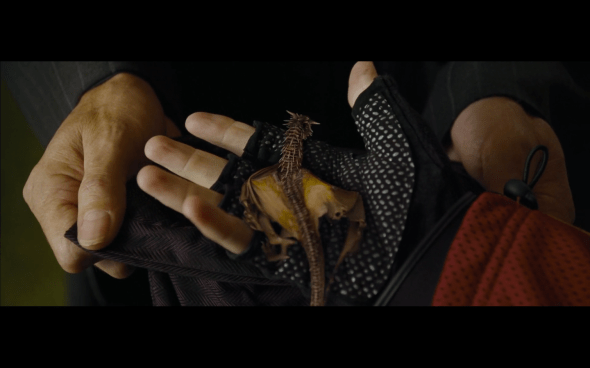 Harry Potter and the Goblet of Fire - 775