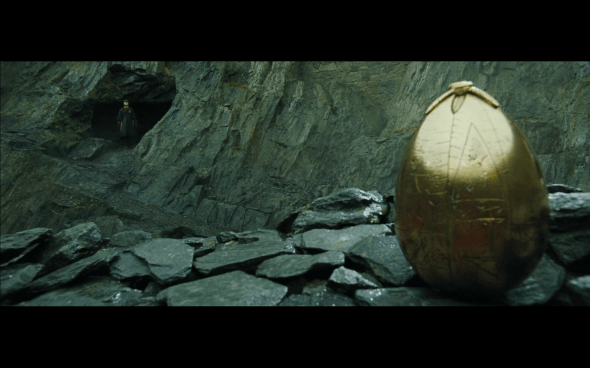 Harry Potter and the Goblet of Fire - 789