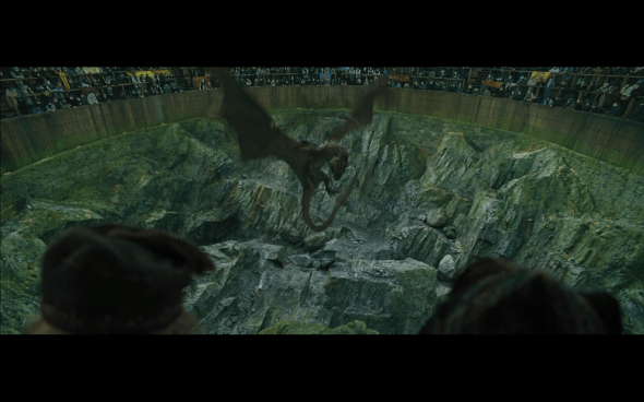 Harry Potter and the Goblet of Fire - 794