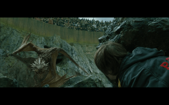 Harry Potter and the Goblet of Fire - 800