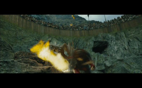 Harry Potter and the Goblet of Fire - 805