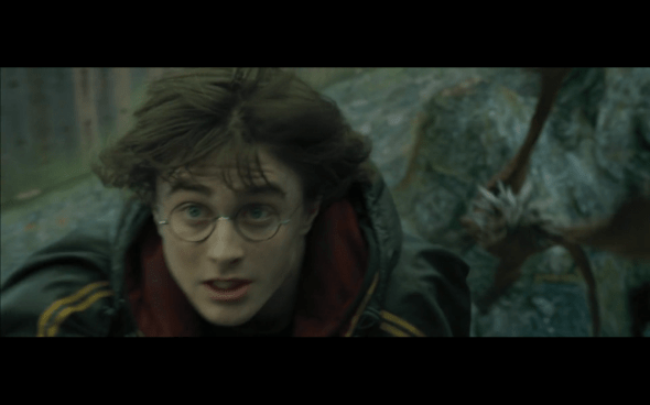 Harry Potter and the Goblet of Fire - 808