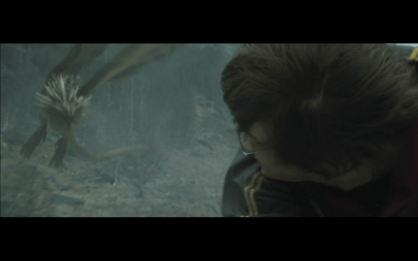 Harry Potter and the Goblet of Fire - 815