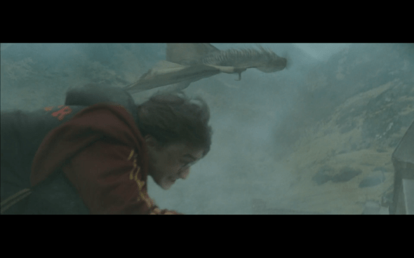 Harry Potter and the Goblet of Fire - 817