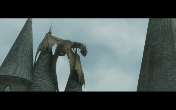 Harry Potter and the Goblet of Fire - 829