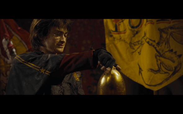 Harry Potter and the Goblet of Fire - 869