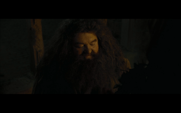 Harry Potter and the Goblet of Fire - 942