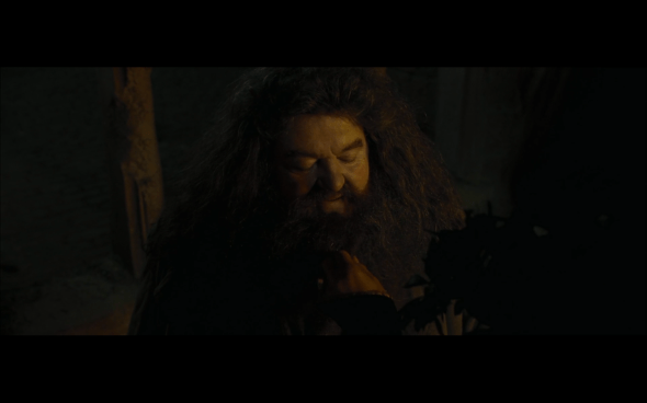 Harry Potter and the Goblet of Fire - 943