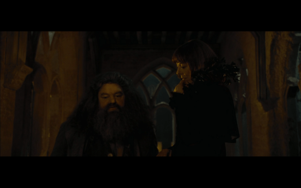 Harry Potter and the Goblet of Fire - 946