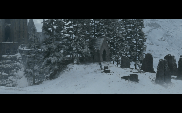 Harry Potter and the Goblet of Fire - 991