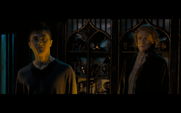 Harry Potter and the Order of the Phoenix - 1006