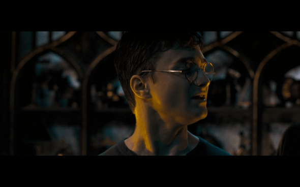 Harry Potter and the Order of the Phoenix - 1010