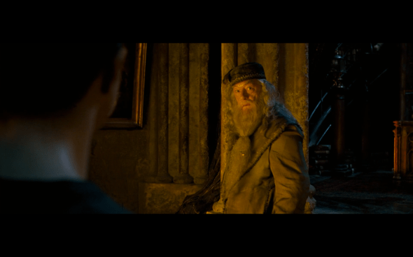 Harry Potter and the Order of the Phoenix - 1013