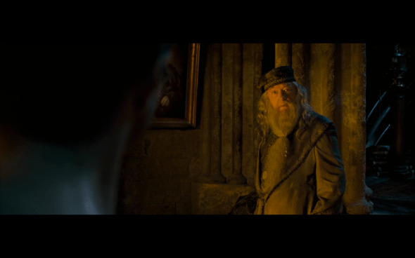 Harry Potter and the Order of the Phoenix - 1015