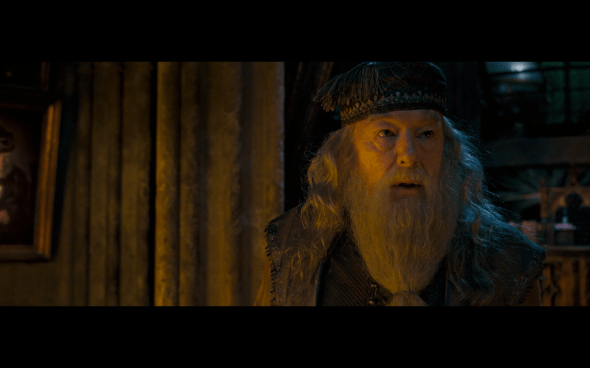 Harry Potter and the Order of the Phoenix - 1018