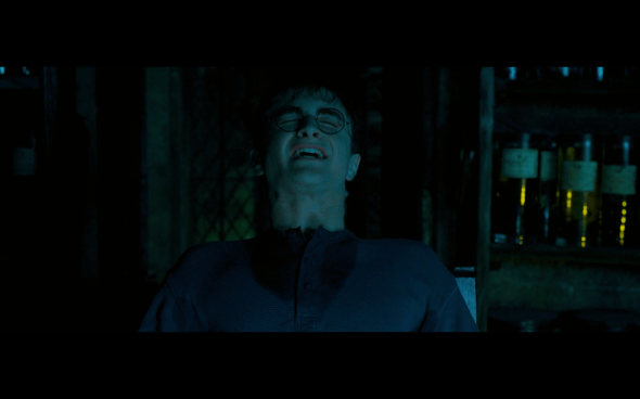 Harry Potter and the Order of the Phoenix - 1043