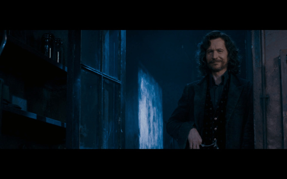 Harry Potter and the Order of the Phoenix - 1064