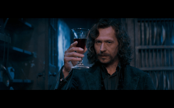 Harry Potter and the Order of the Phoenix - 1069