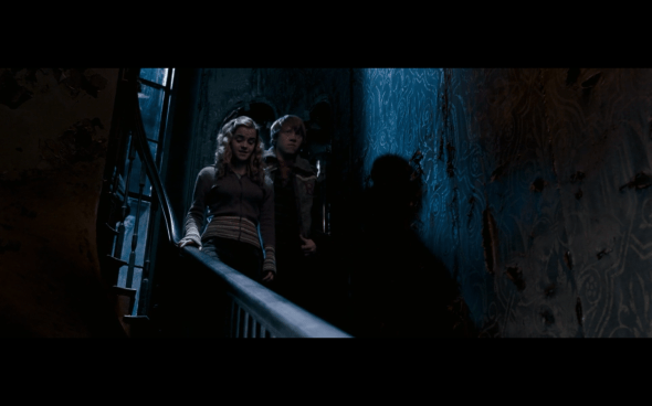 Harry Potter and the Order of the Phoenix - 1074