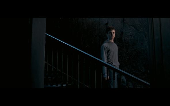 Harry Potter and the Order of the Phoenix - 1075