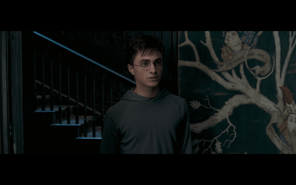 Harry Potter and the Order of the Phoenix - 1076