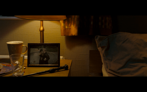 Harry Potter and the Order of the Phoenix - 108