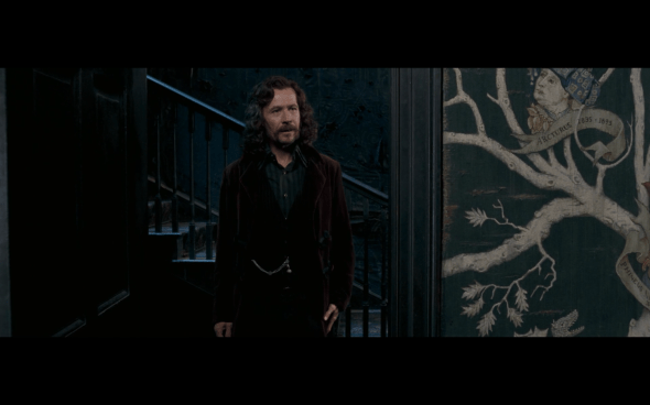 Harry Potter and the Order of the Phoenix - 1080