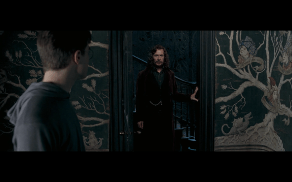 Harry Potter and the Order of the Phoenix - 1081