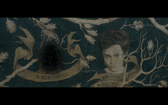 Harry Potter and the Order of the Phoenix - 1083