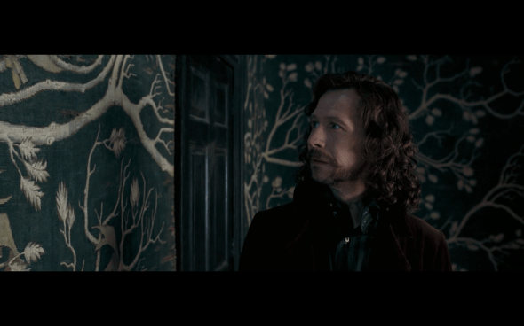 Harry Potter and the Order of the Phoenix - 1086