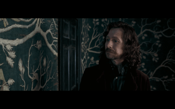 Harry Potter and the Order of the Phoenix - 1087