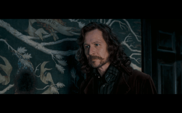 Harry Potter and the Order of the Phoenix - 1088