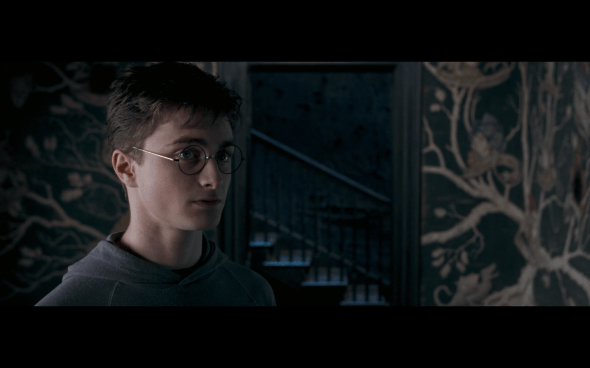 Harry Potter and the Order of the Phoenix - 1089