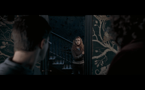 Harry Potter and the Order of the Phoenix - 1092