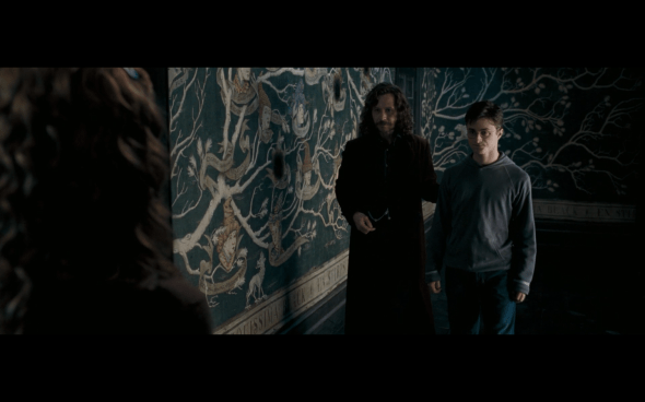 Harry Potter and the Order of the Phoenix - 1093