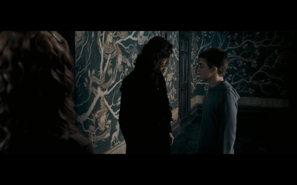 Harry Potter and the Order of the Phoenix - 1094