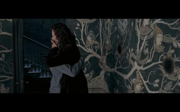 Harry Potter and the Order of the Phoenix - 1095