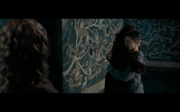 Harry Potter and the Order of the Phoenix - 1096