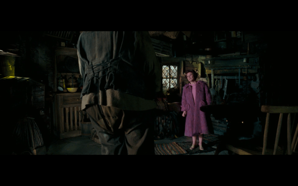 Harry Potter and the Order of the Phoenix - 1110