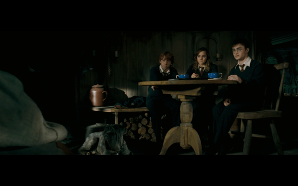 Harry Potter and the Order of the Phoenix - 1112