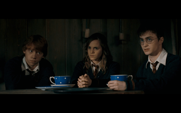 Harry Potter and the Order of the Phoenix - 1114