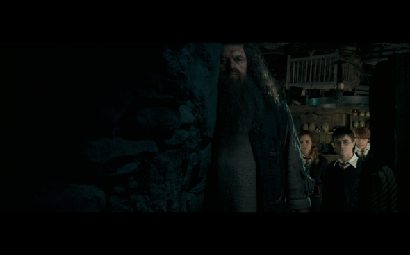 Harry Potter and the Order of the Phoenix - 1115