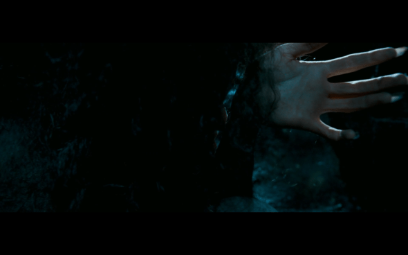 Harry Potter and the Order of the Phoenix - 1119