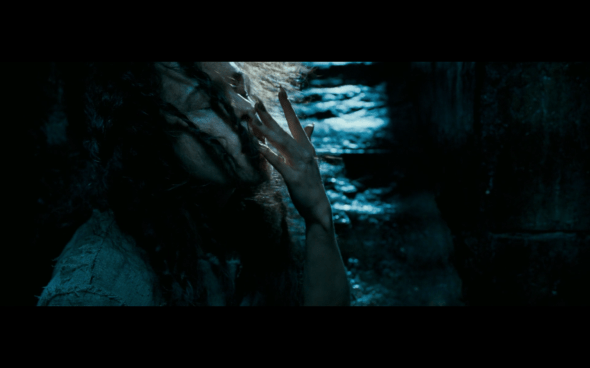 Harry Potter and the Order of the Phoenix - 1120