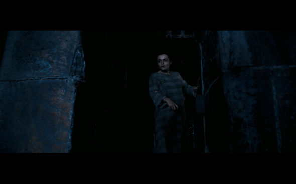 Harry Potter and the Order of the Phoenix - 1124