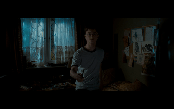 Harry Potter and the Order of the Phoenix - 117