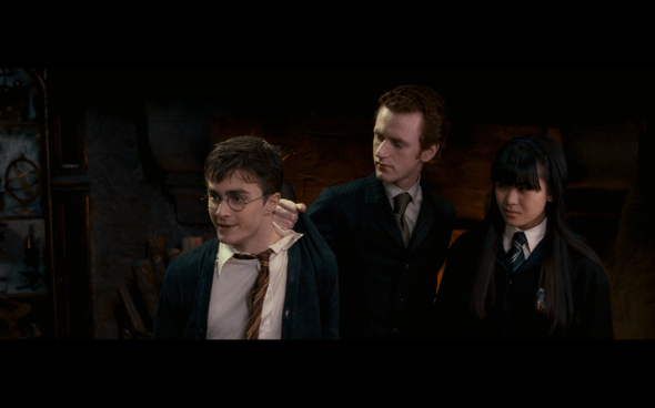 Harry Potter and the Order of the Phoenix - 1176